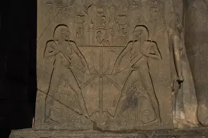 Union between Upper Egypt and Lower Egypt (Papyrus)