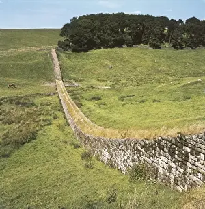 United Kingdom. England. North East England