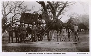 Conveyance Gallery: United Provinces, India - Camel Conveyance