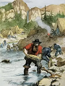 Seekers Prints: United States (1849). Gols seekers. Engraving