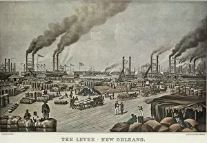 Economic Prints: United States (1883). New Orleans. Harbour. Litography