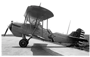 Curtiss Prints: United States Army Air Corps - Curtiss O-1G Falcon