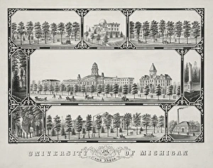 Arbor Gallery: University of Michigan, Ann Arbor