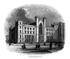 University, New York City, USA