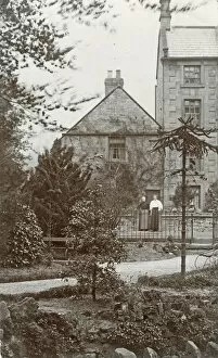 Unknown British town scene - with Monkey Puzzle tree