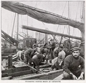 Anglian Prints: Unload Scotch Boats at Great Yarmouth. Date: November 1902