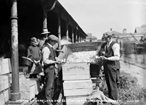 Eggs Prints: Unloading a Cartload of Eggs(70 Doz. ) in Cookstown Market
