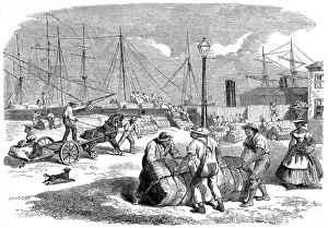 Desperate Prints: Unloading Cotton at Nassa, New Providence, 1864
