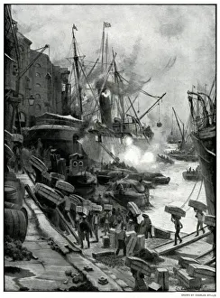 Cargo Prints: Unloading fresh oranges 1900