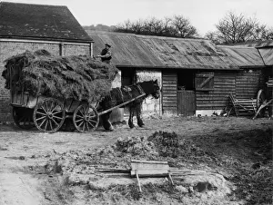 Unloading Hay