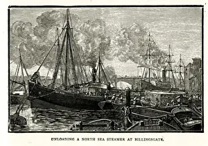 Unloading a North Sea Steamer at Billingsgate