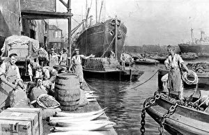 Images Dated 22nd June 2004: Unloading Ships at London Docks, 1908