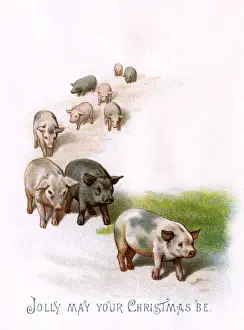 Trotting Prints: Unusual pigs Christmas greeting