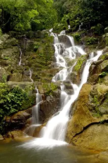 Pools Prints: An upper part of Mukut Waterfalls, surrounded by