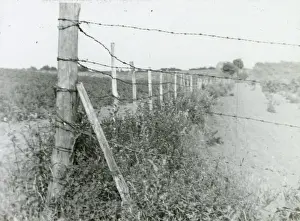 Bexley Prints: Upper Ruxley