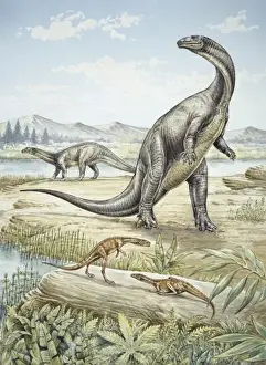 Carnivore Prints: Upper Triassic dinosaurs discovered in Southern Germany