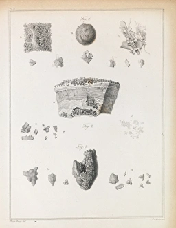 Images Dated 14th December 2015: Urinary stones