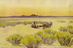 USA / Arizona Desert 1923
