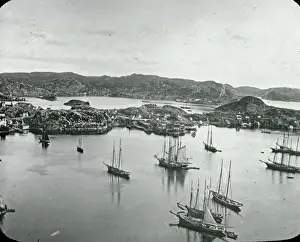 USA - Burin Harbour. (Newfoundland)