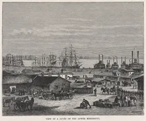 Levee Prints: USA / Mississippi River