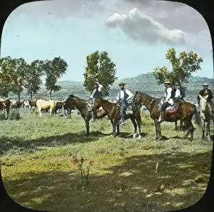 Cowboys Prints: USA - Montana - Cattle Ranche