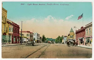 Pacific Collection: USA / Pacific Grove