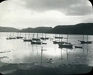 Labrador Prints: USA - A sunrise scene at Placentia (Newfoundland)