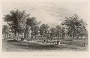 USA Yale Univ 1876