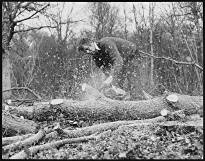 Using a Chainsaw
