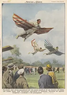 Birdmen Prints: Using Springboards