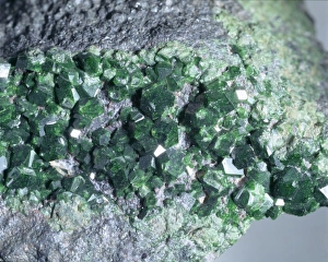 Garnet Gallery: Uvarovite garnet