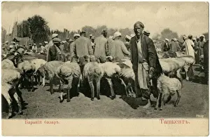 Uzbekistan - Tashkent - Open-air Livestock Market