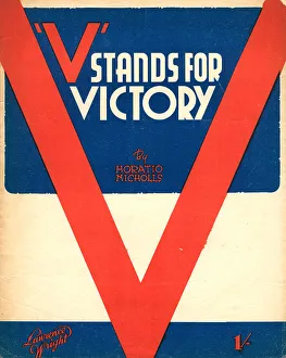 V Stands For Victory Music Cover
