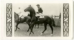 Vaals, Australian race horse