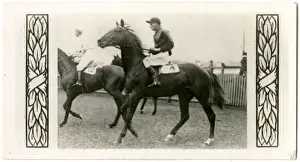 Racehorse Prints: Vaals, Australian race horse
