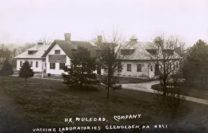 Drug Prints: Vaccine laboratories, Glenolden, Pennsylvania, USA