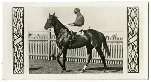 Jockeys Gallery: Valcaire, Australian race horse
