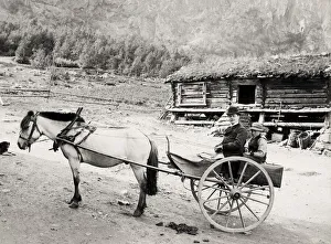 Trap Gallery: Valders, Norway, pony and trap