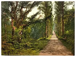 Vale of Lanherne, Carmanton Drive, Cornwall, England