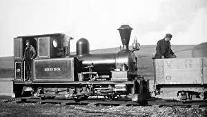 Devils Collection: Vale of Rheidol Railway, Wales - early 1900s