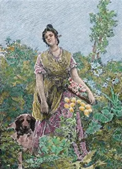 Valencian Prints: Valencia gardener. Engraving by Die?guez, 1867. Colored