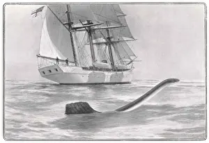 Observed Prints: Valhalla Serpent