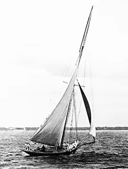 Runner Collection: Valkyrie Yacht, runner up Americas Cup