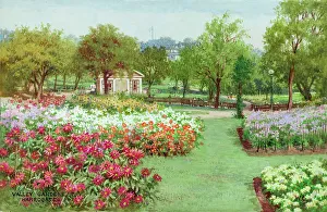 Flowerbeds Prints: Valley Gardens, Harrogate, Yorkshire