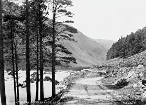 Glendalough Prints: In the Valley of Glendalough