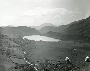 Images Dated 17th May 2021: Valley with lake and sheep, Snowdonia National Park