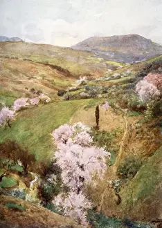 Sicilian Prints: A valley near Girgenti, Sicily, Italy