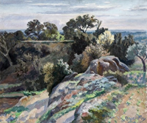 Images Dated 10th September 2010: Valley of the Rhone