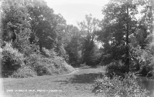 Greenery Prints: In Vallis Vale