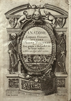 VALVERDE DE AMUSCO, Juan (1525-1588). Anatome VALVERDE DE AMUSCO, Juan (1525-1588). Anatome